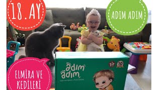 ADIM ADIM 18.AY SETİ (KIZIM VE KEDİLERİ ) #adımadımseti #kedivebebek #britishshorthair #ns11