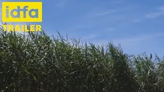 IDFA 2019 | Trailer | Norie