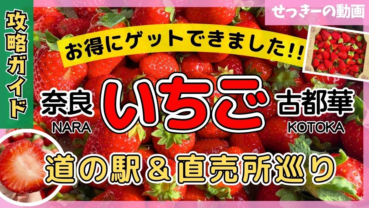 【いちご 直売所めぐり】『古都華』を”お得に”ゲット&食べ比べ！【奈良 道の駅へぐり/萩原苺農園/岩井農園】