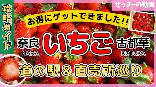 Nara Strawberry Direct Sales Shop Tour] Get 