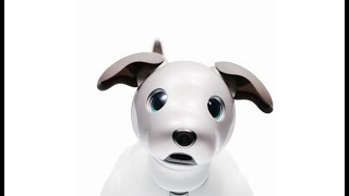 New Sony Aibo 2018 - Robot Dog ロボット犬