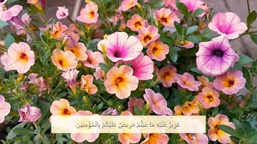 127      سورة التوبة الآية