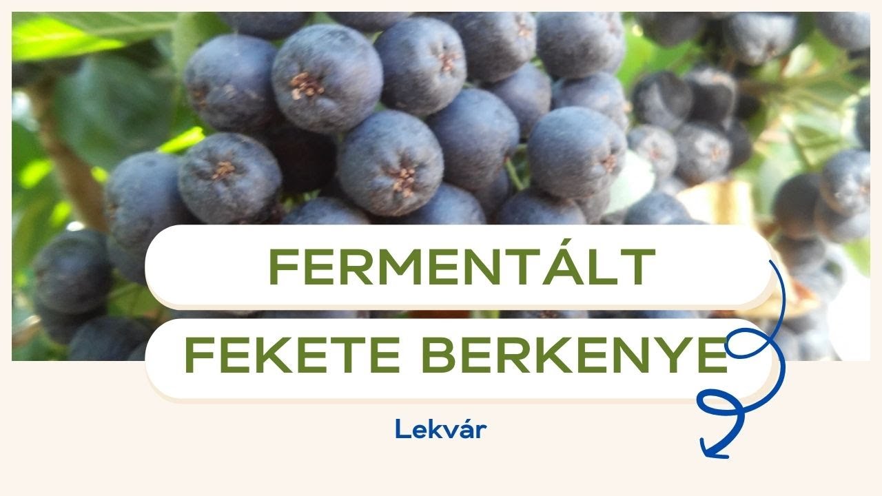 Fermentált fekete berkenye lekvár