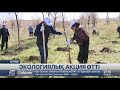 Ақтөбедегі этномәдени бірлестік өкілдері ағаш көшеттерін екті