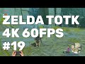 The Legend of Zelda: Tears of the Kingdom Walkthrough Part 19 (Switch 2 4K 60FPS)