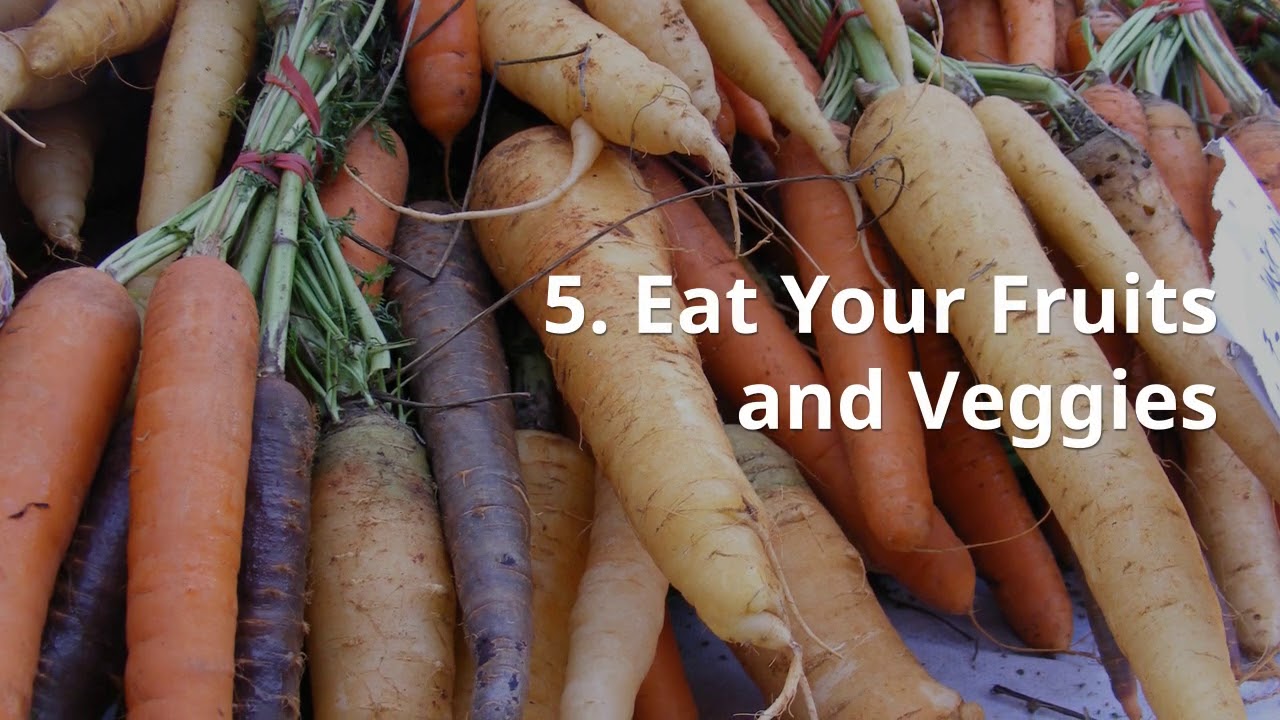 Pest Control Video v2 1