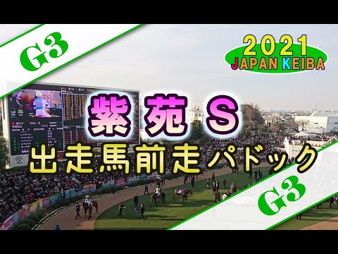 【競馬パドック】紫苑S・前走パドック（2021年）