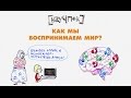 Как мы воспринимаем мир? — Научпок