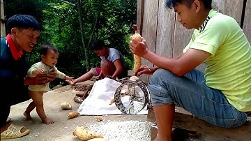 Poj niam wb mus khawb qos ntoo ziab pub qaib 10/7/20