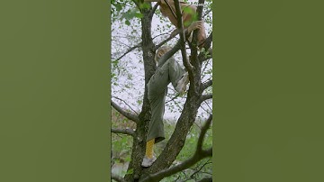 HD video#youtubeshorts #music#InvisibleNature