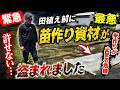 【緊急】田植え前に最悪の事態…苗作り資材が盗まれました