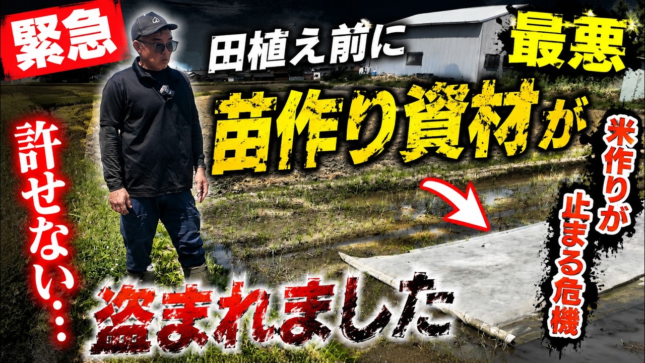 【緊急】田植え前に最悪の事態…苗作り資材が盗まれました