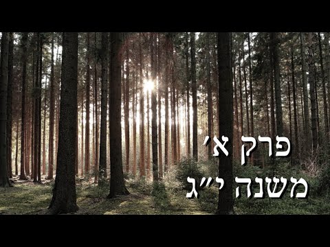 דקה לנשמה עם הרב קראוס - פרק א' משנה י"ג - למי מגיע כבוד?