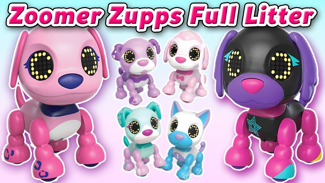 zoomer zupps dog