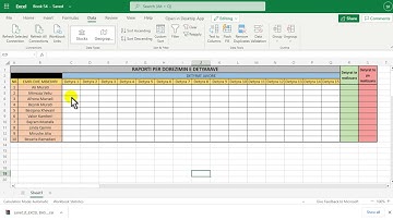 MS EXCEL: Count if and data validation.