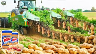 How American Farmers Harvest 59 Billion Pounds Of Peanuts  Agriculture Technology