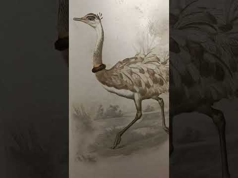 گفتگو با خانم فیروزه اخلاقی نقاش و مجسمه ساز در حاشیه نمایشگاه کاشی و سرامیک چرسای ایتالیا