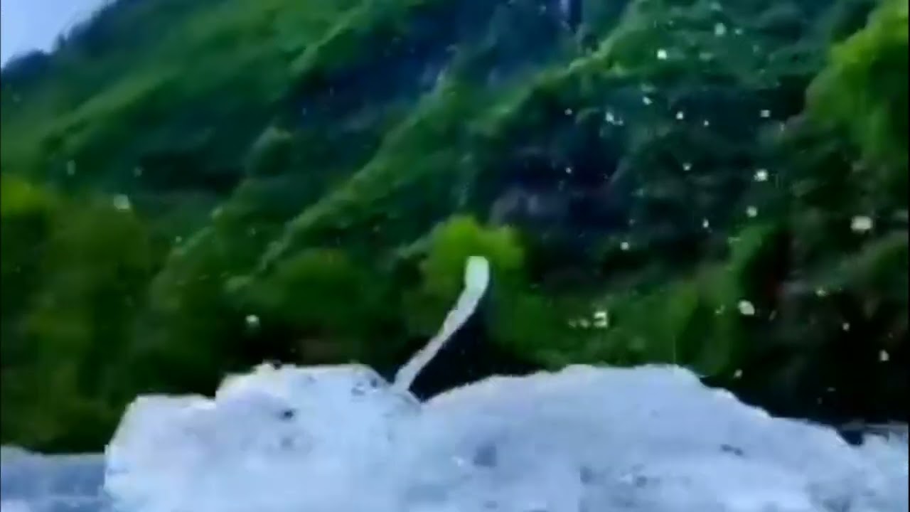 Music meditation,, Stream of Revival ''/muzikinė meditacija ,, Atgimimo Srautas ''