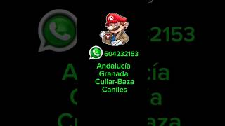 ¿Quieres poner tu Videoconsola a punto o necesitas alguna reparación? Contacta con migo aquí 👇