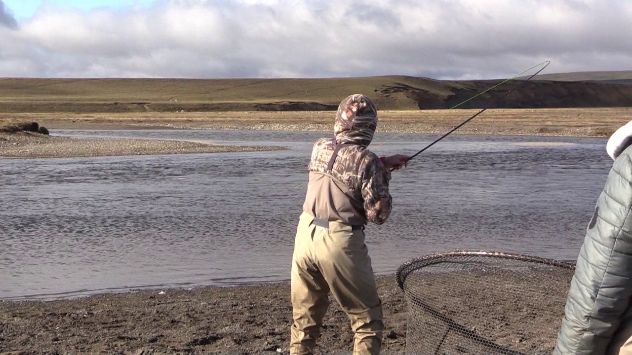 Chris's pending Worl Record 30b Sea Run Brown Trout, Rio Grande, Argentina