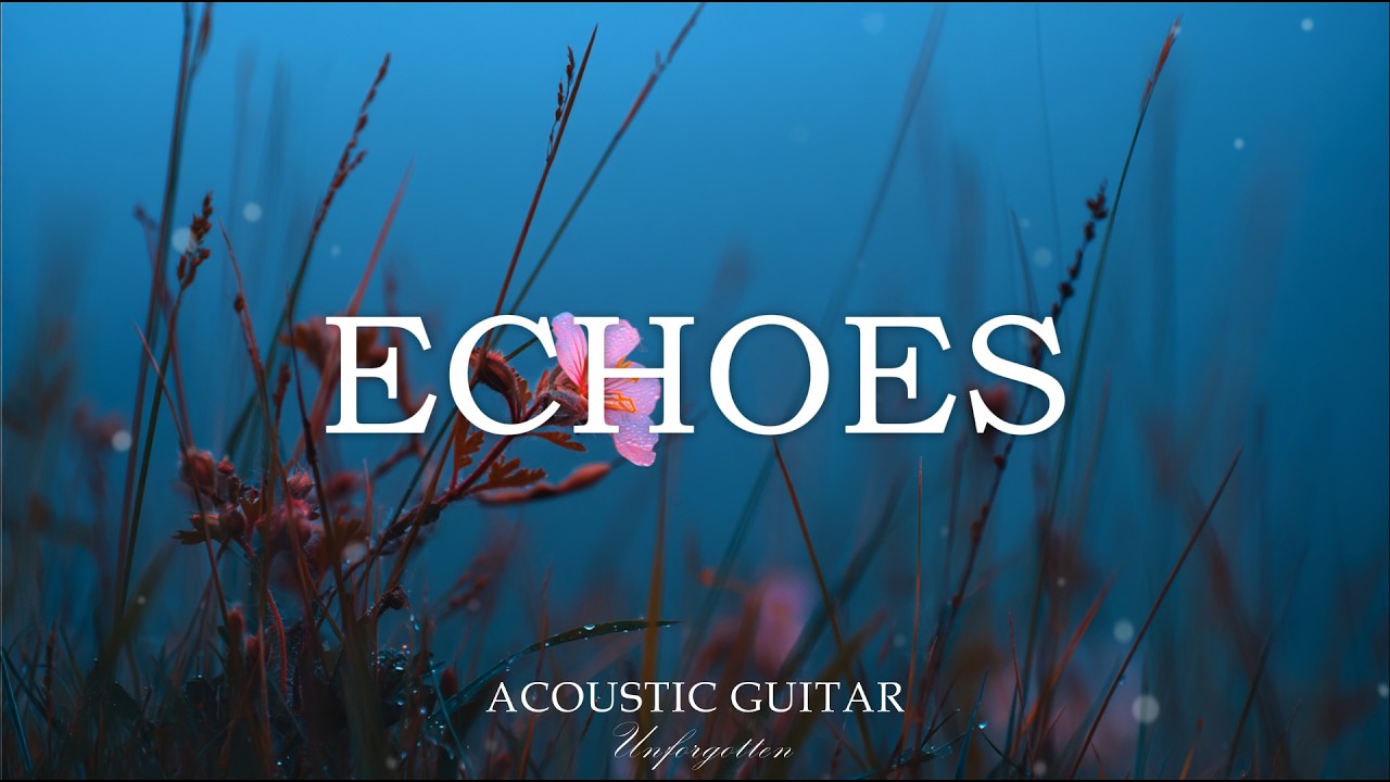 Relaxing Acoustic Guitar Music – Calm Your Mind, Reduce Stress & Focus