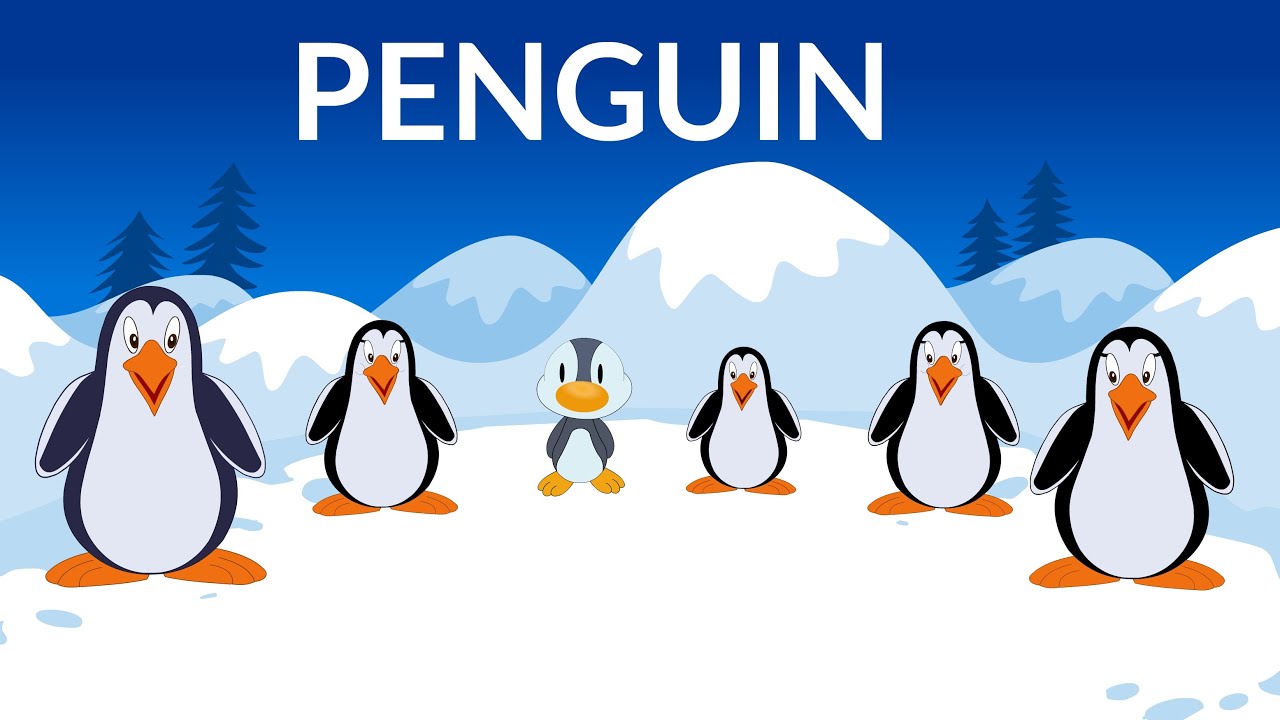 Learn about Penguins | Penguin Information | Video for Kids - YouTube