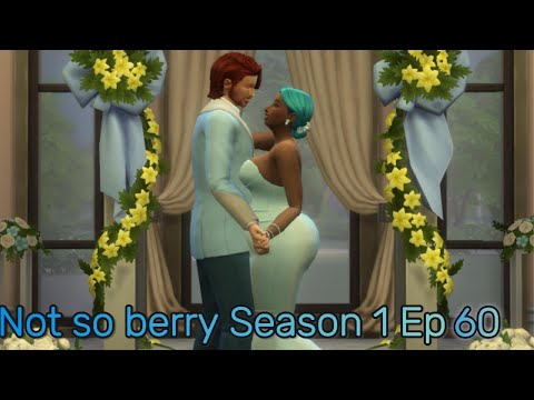 Not so berry season 1 ep 60