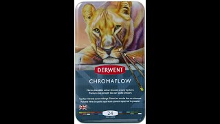 Showing Derwent Chromaflow