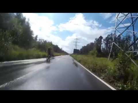 Просеки Лосиного Острова bikes pelicula