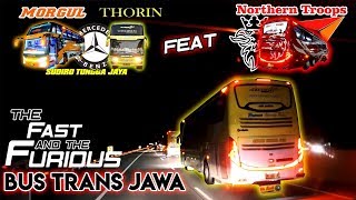 BEGINI KETIKA 3 BUS RAJA TRANSJAWA BERTEMU || Agra Mas HD 002 Feat STJ Morgul & Thorin