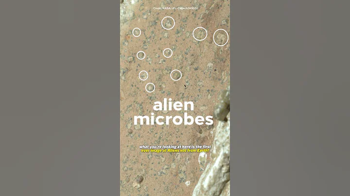 NASA may have just found life on Mars (not clickbait)