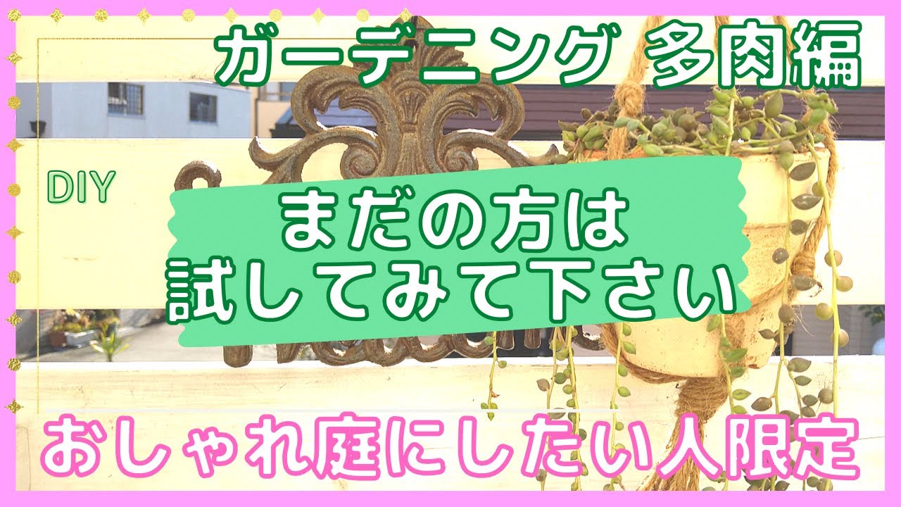 ガーデニング 】DIY おしゃれなお庭づくり 雑貨と多肉の植え替え これ