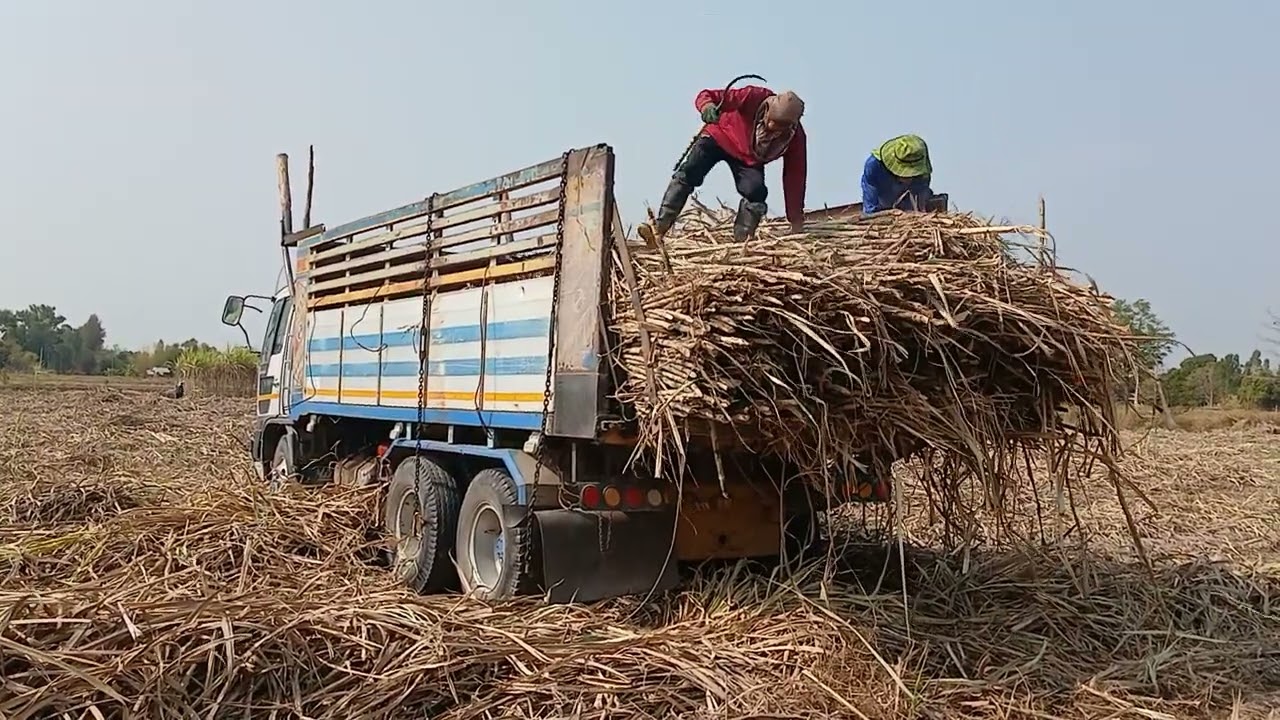 ทีมงานป๋าส่งข์