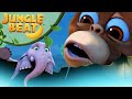 Strange Brew | Jungle Beat | Cartoons for Kids | WildBrain Toons