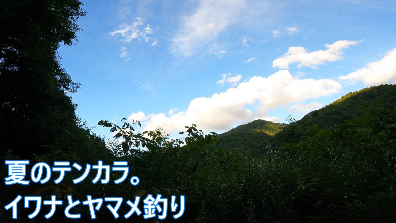 夏のテンカラ。イワナとヤマメ釣り【渓流釣り】 - YouTube