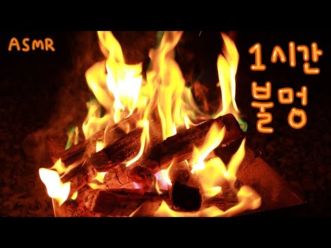 ASMR 머물다 | 타닥 타닥 모닥불 소리 | 불멍하기 1시간 🔥😌 1 hour | bonfire | spacing out | 焚き火の音1時間