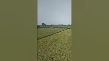 دعاء الرزق Explore اكسبلور يصلك اللهم صل وسلم على نبينا محمد المصحف تصويري يارب لايك 