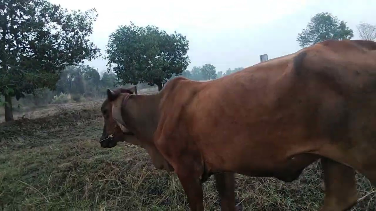 26 กุมภาพันธ์ ค.ศ. 2026