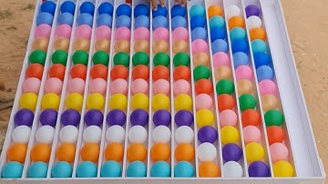 Focus Masterclass: Color Sorting for a Sharper Mind