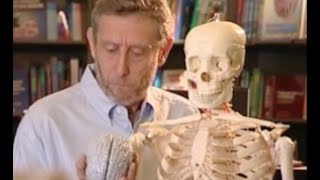 YTP: Bizzare books, strange aunties and uncooperative co-hosts (69th Birthday Collab Entry)