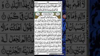 Holy Quran with Urdu / Hindi Translation - Chapter 1/Quran last 10 surahs by Mishary Rashid Alafasy screenshot 2