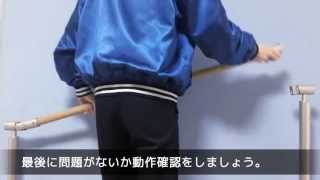 関連動画1