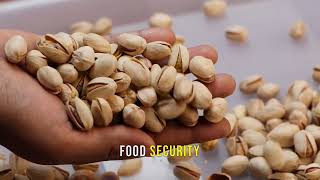 Who Really Profits In The Food Supply Chain?