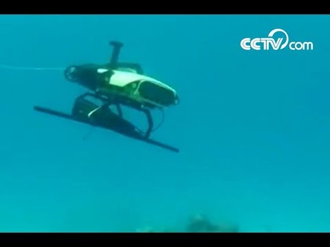 Robot delivers baby corals to stricken reef| CCTV English