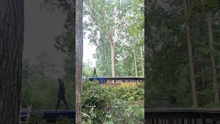 Famous Rigging down a large white oak over house! Net Worth