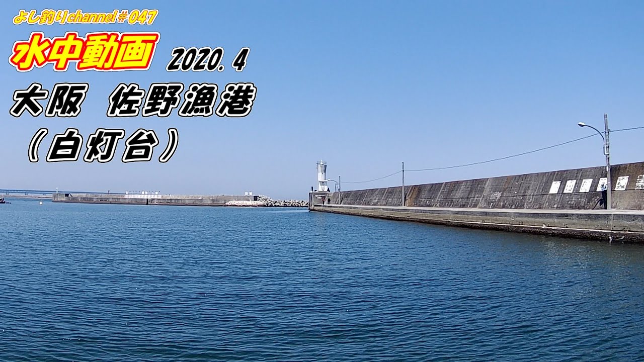 047 大阪 佐野漁港 釣り場の水中映像 Youtube