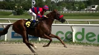 220304 c01 - EL VIGIA - HIPODROMO LAS PIEDRAS