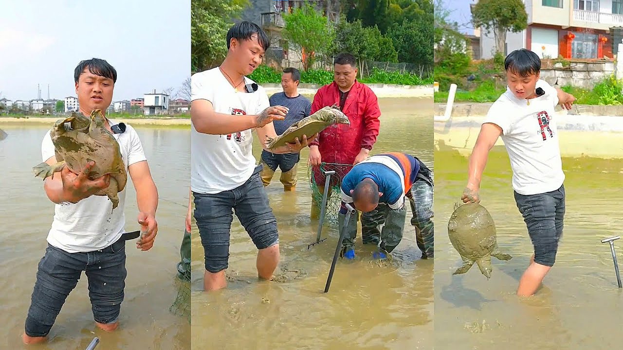 Ao ba ba 11 năm tuổi, bắt lên ai cũng ngạc nhiên
