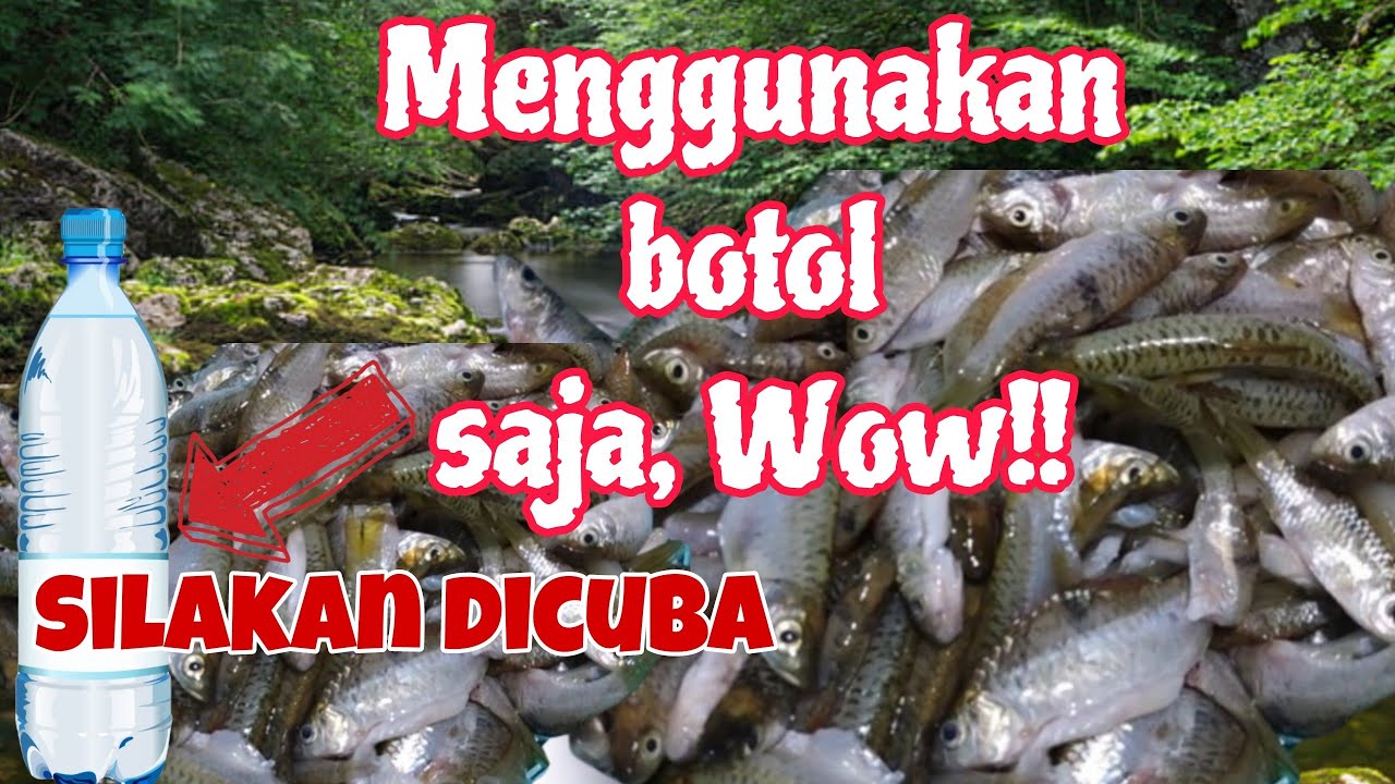 Menggumpul hasil ikan menggunakan perangkap botol/Hasil nya sungguh meriah