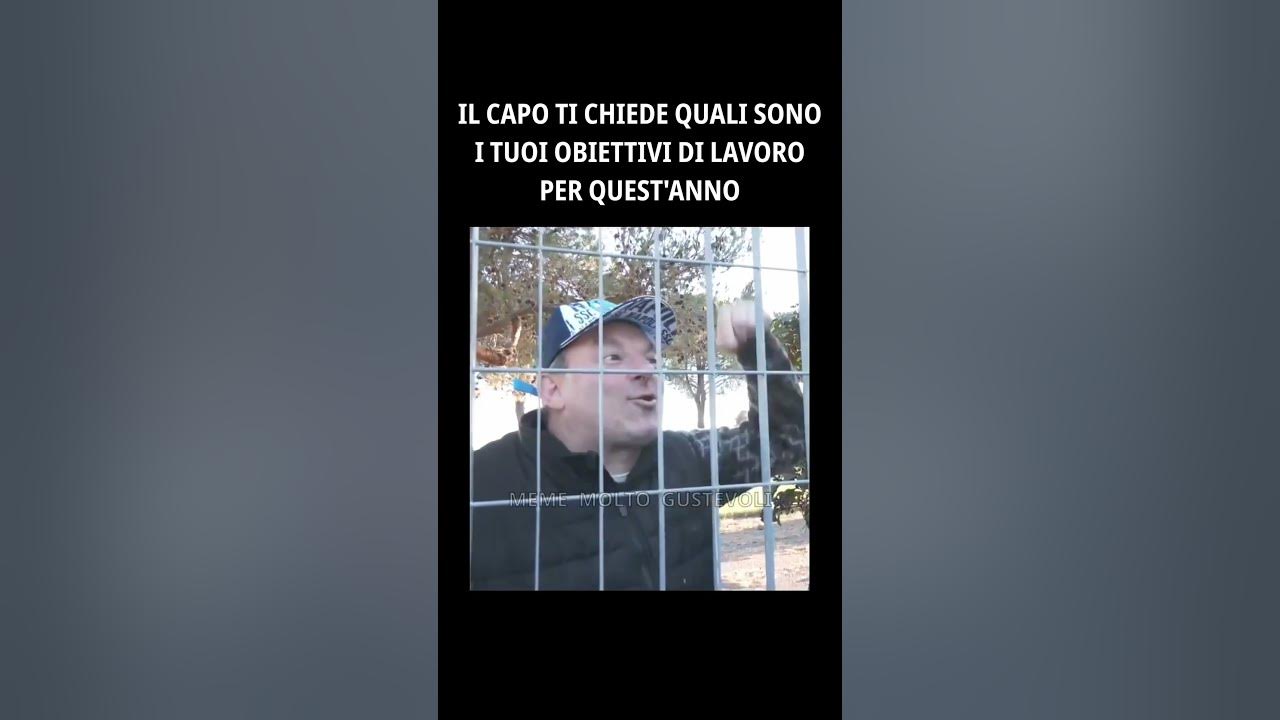 Quando Il Capo Ti Prende Di Mira Quando il capo ti chiede i tuoi obiettivi di lavoro... #lello #perte #